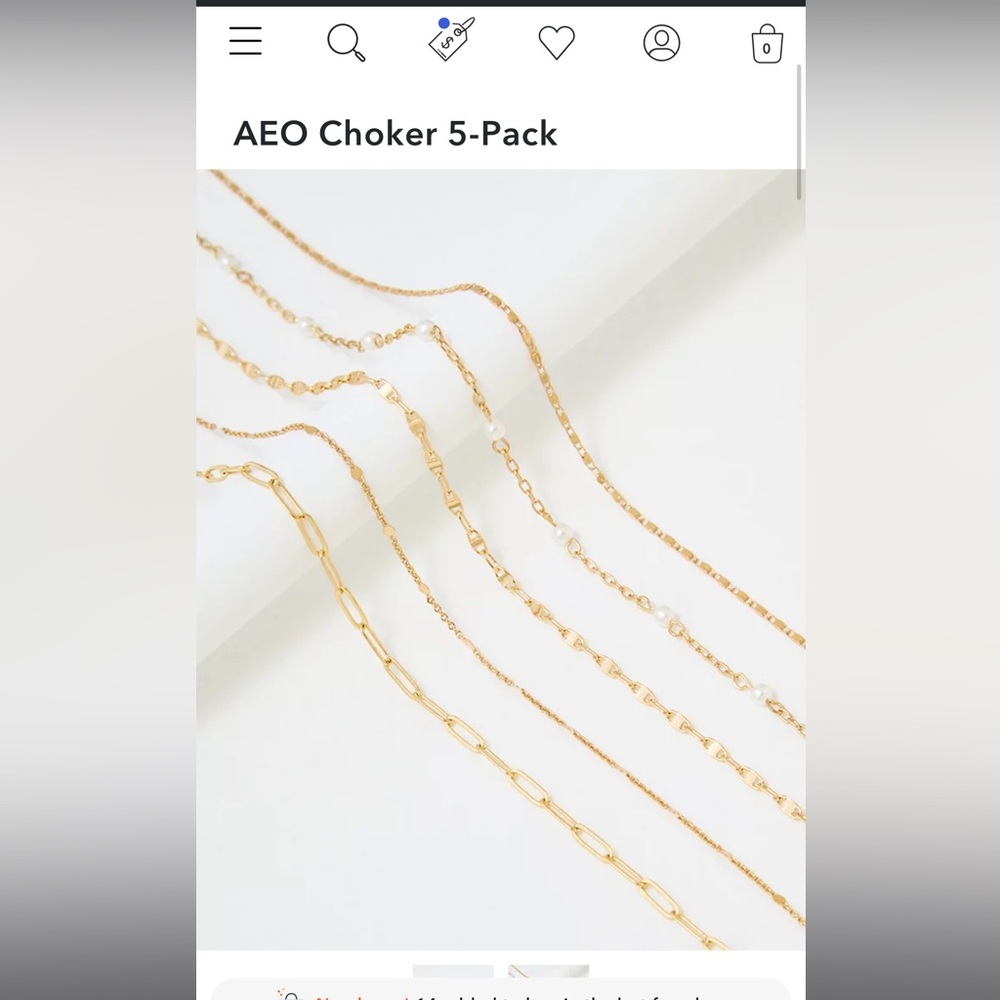 American Eagle Choker Necklace Set
